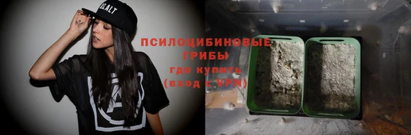 прущая мука Тавда